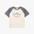 Gallery Crop Top (4 colors)
